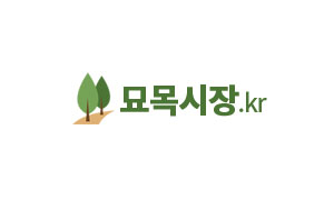 산딸나무 직경10~12 수량200주